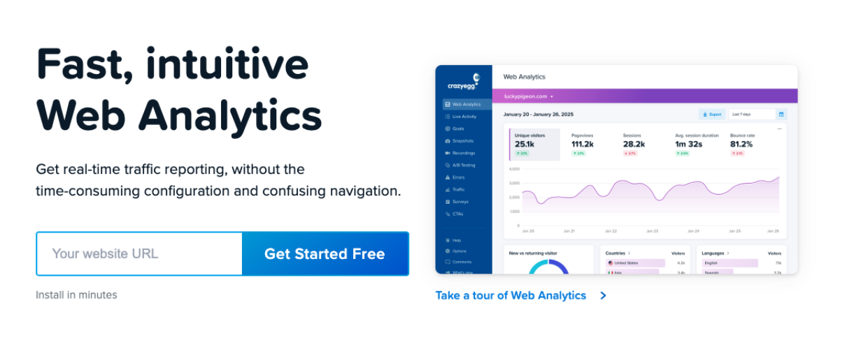 Original Crazy Egg web analytics page